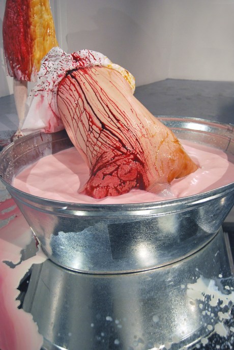 Exodus by Johan and Mika Thom John Hodgkiss