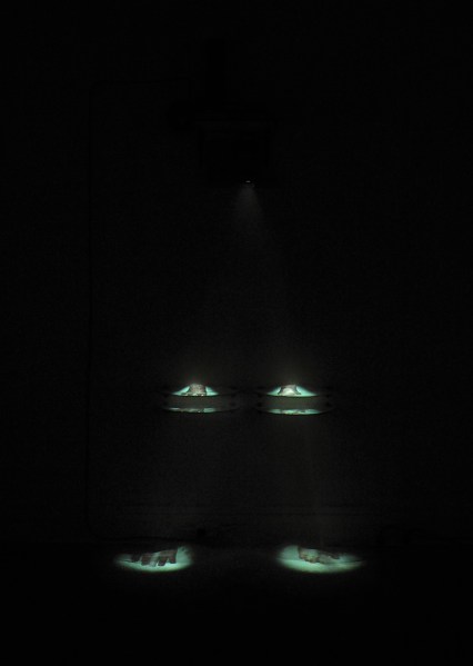 Photograph of 'Panopticon' (2008/9) Johan Thom- installation with video projection